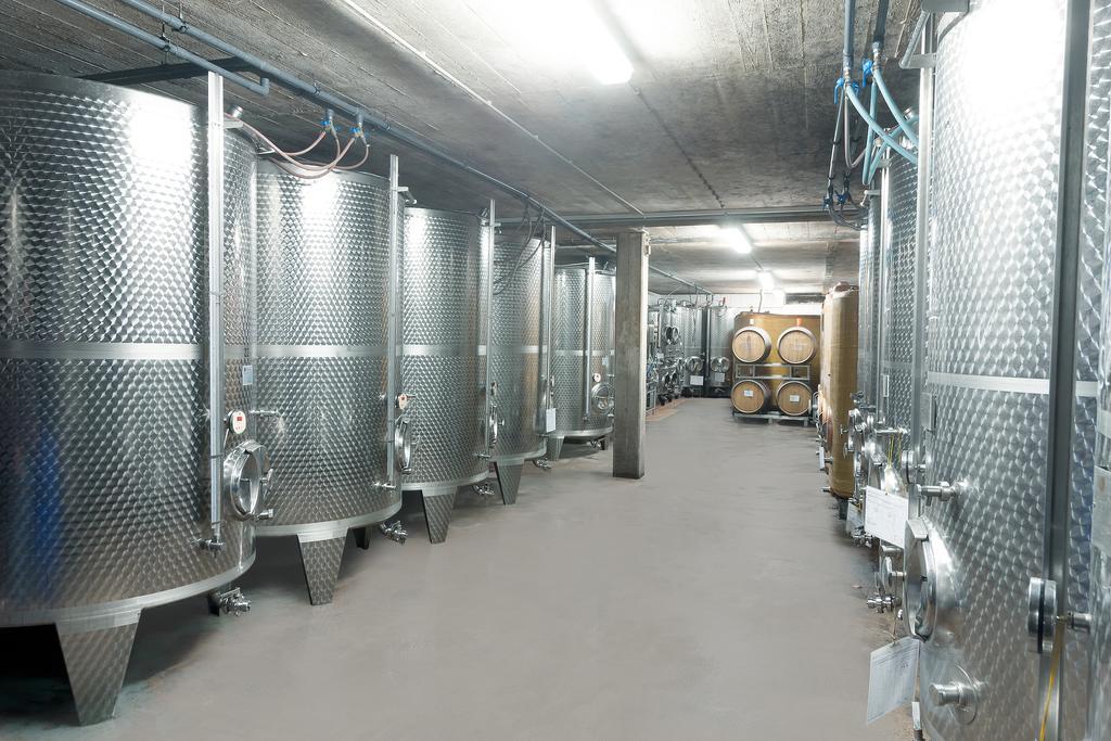 Pension Und Weingut Moselblick Brauneberg Zewnętrze zdjęcie