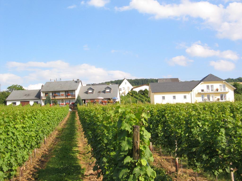 Pension Und Weingut Moselblick Brauneberg Zewnętrze zdjęcie
